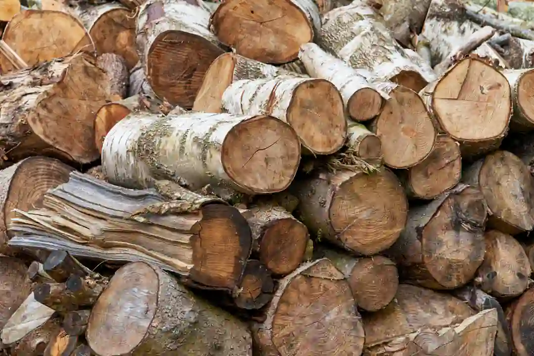 Timber processing Australia