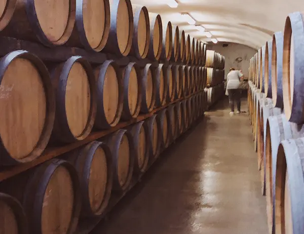 Barrels of wine in a distillery