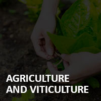 grants-for-the-agriculture-and-viticulture-sector